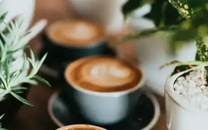 Cortado + Bakery Pairing Est.