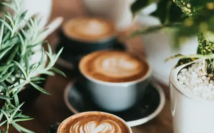 Cortado — Blonde Espresso