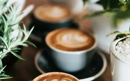 Dark Roast Brewed Coffee (Grande) — Decaf
