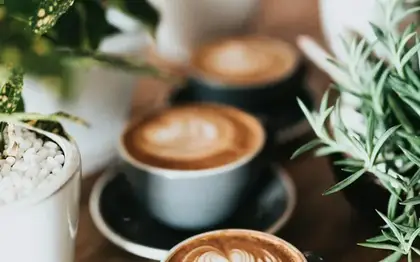 Matcha Tea Latte (Grande) (Suburban Mid Estimate)