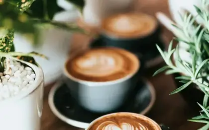 Matcha Tea Latte (Grande)