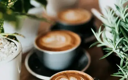 Iced Shaken Espresso (Grande) — Blonde Espresso