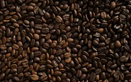 Java Chip Frappuccino (Grande) + Bakery Pairing Est.