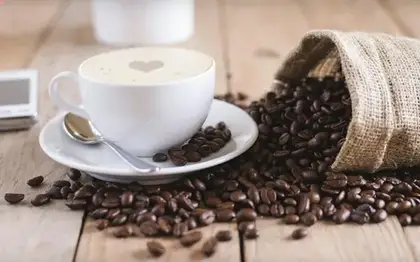 Java Chip Frappuccino (Grande)