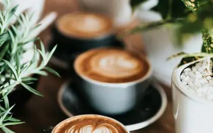 Caffè Latte (Grande) — Oatmilk