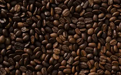 Caffè Latte (Tall) — Blonde Espresso