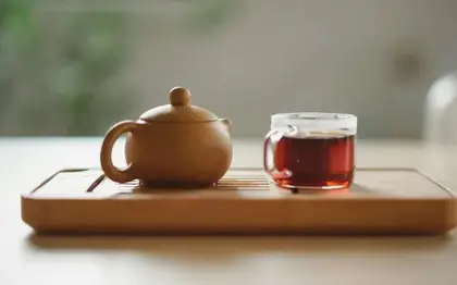 Caffè Latte (Tall) — Sugar-Free Vanilla
