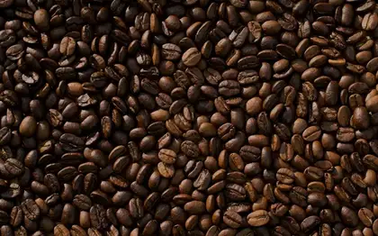 Caffè Latte (Venti) — Extra Shot