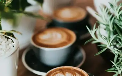 Caffè Mocha (Venti) — Cold Foam
