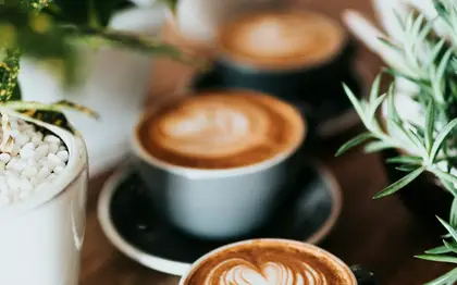Caffè Mocha (Venti) — Sugar-Free Vanilla