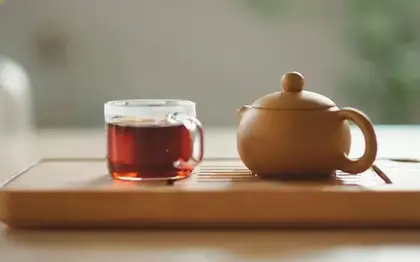 Steamed Apple Juice (Grande) — Cold Foam