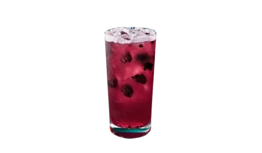Blackberry Sage Lemonade Refresher