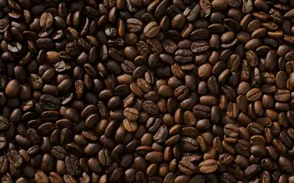 Veranda Blend Brewed Coffee (Grande) + Bakery Pairing Est.