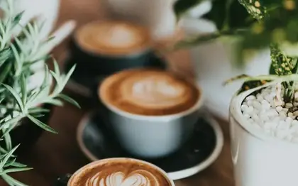 Veranda Blend Brewed Coffee (Grande) — Blonde Espresso