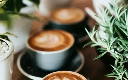 Veranda Blend Brewed Coffee (Grande)
