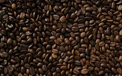 Vanilla Sweet Cream Cold Brew (Grande)