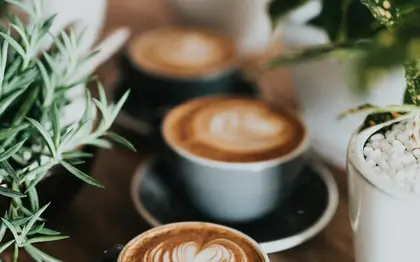 White Chocolate Mocha (Venti) — Decaf